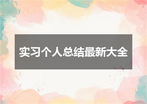 实习个人总结最新大全