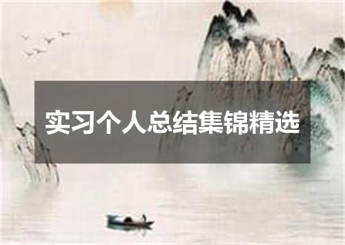 实习个人总结集锦精选