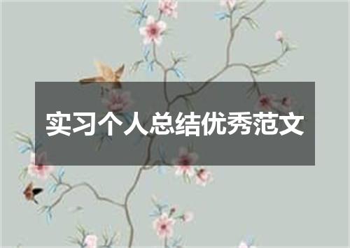 实习个人总结优秀范文