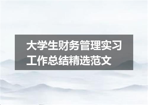 大学生财务管理实习工作总结精选范文