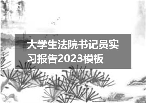 大学生法院书记员实习报告2023模板