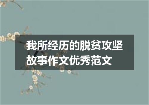 我所经历的脱贫攻坚故事作文优秀范文