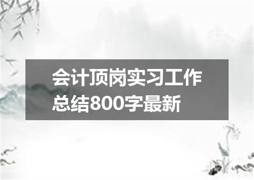 会计顶岗实习工作总结800字最新