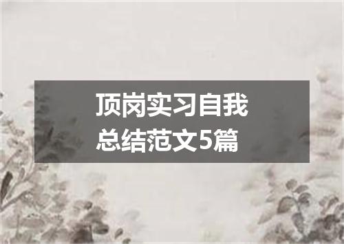 顶岗实习自我总结范文5篇