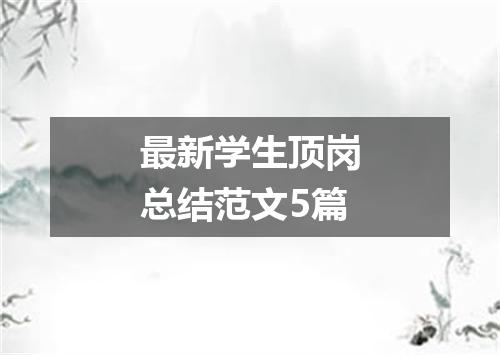 最新学生顶岗总结范文5篇