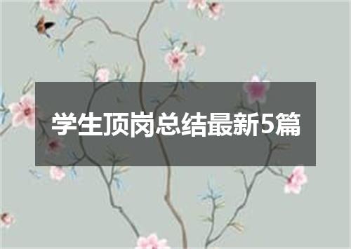 学生顶岗总结最新5篇