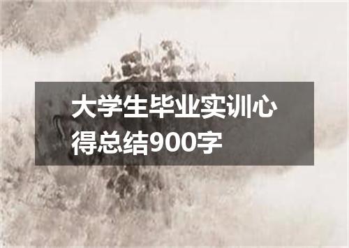 大学生毕业实训心得总结900字