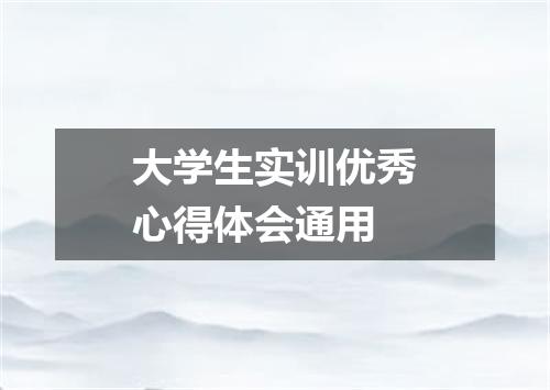大学生实训优秀心得体会通用