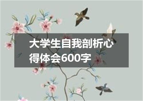 大学生自我剖析心得体会600字