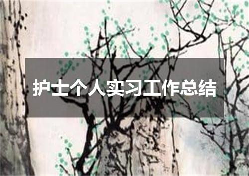 护士个人实习工作总结