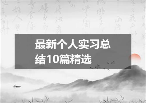 最新个人实习总结10篇精选