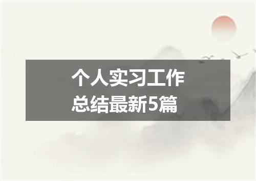 个人实习工作总结最新5篇