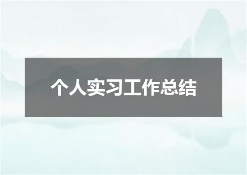 个人实习工作总结