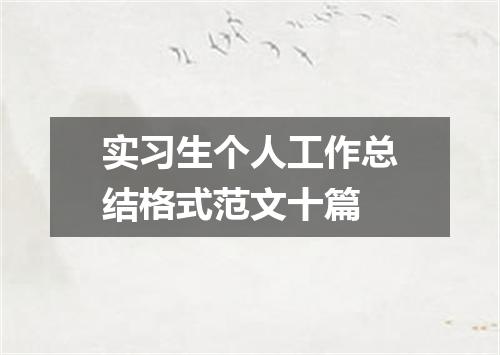实习生个人工作总结格式范文十篇