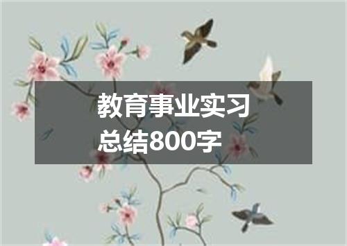 教育事业实习总结800字
