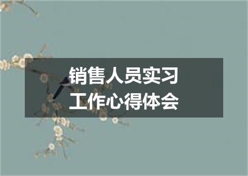 销售人员实习工作心得体会