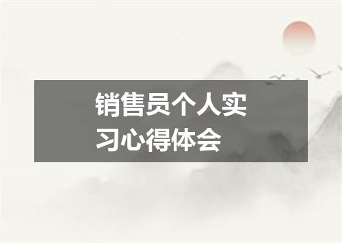 销售员个人实习心得体会