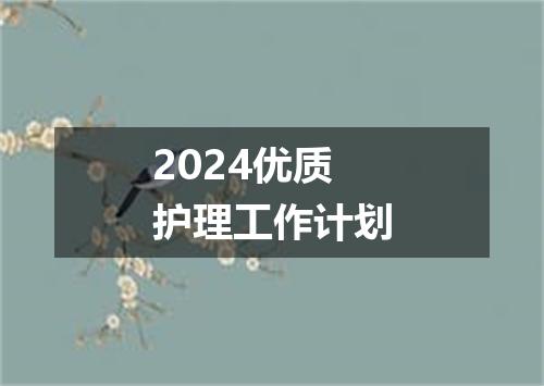2024优质护理工作计划