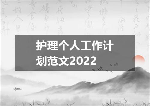 护理个人工作计划范文2022