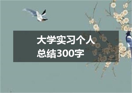 大学实习个人总结300字
