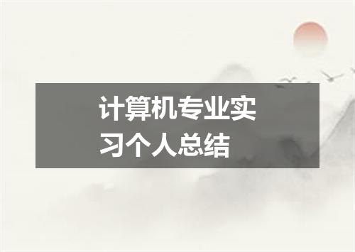 计算机专业实习个人总结