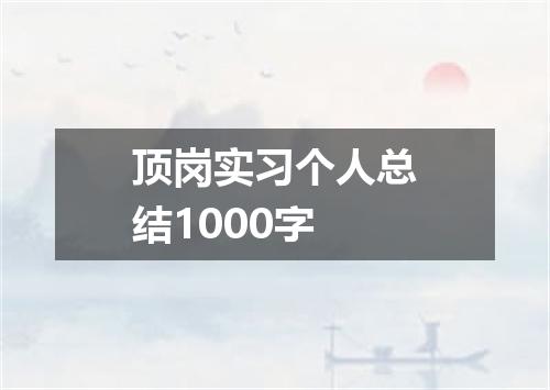 顶岗实习个人总结1000字