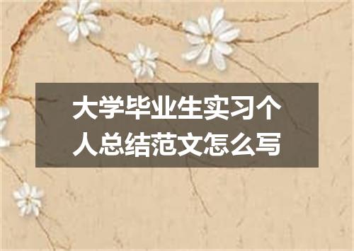 大学毕业生实习个人总结范文怎么写