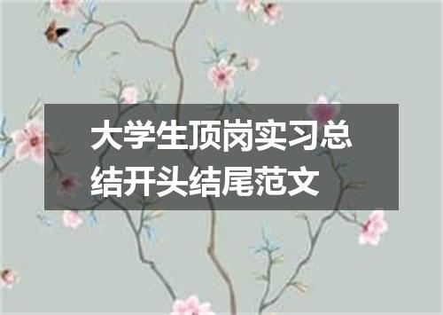 大学生顶岗实习总结开头结尾范文