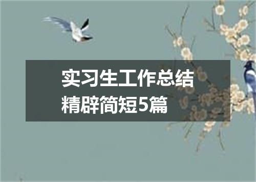实习生工作总结精辟简短5篇