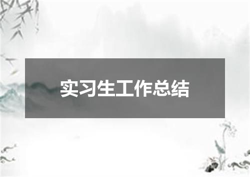 实习生工作总结