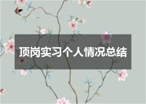 顶岗实习个人情况总结
