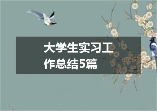 大学生实习工作总结5篇