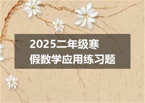 2025二年级寒假数学应用练习题