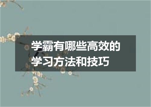 学霸有哪些高效的学习方法和技巧
