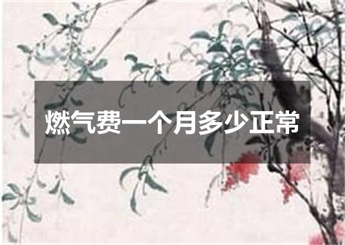 燃气费一个月多少正常