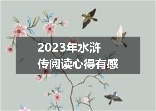 2023年水浒传阅读心得有感