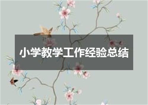 小学教学工作经验总结