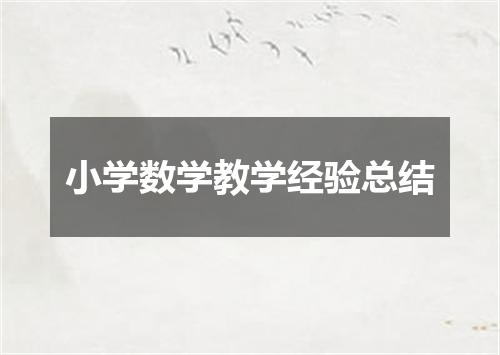 小学数学教学经验总结