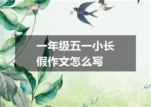 一年级五一小长假作文怎么写