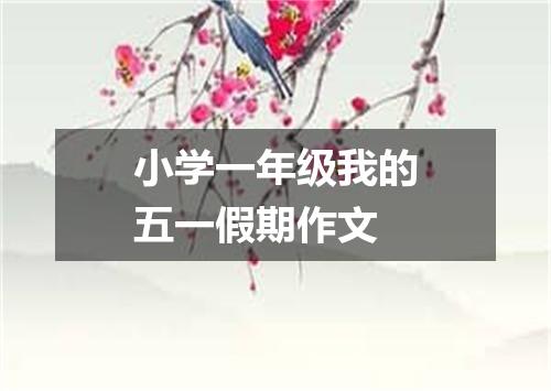 小学一年级我的五一假期作文