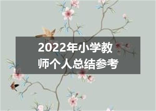 2022年小学教师个人总结参考