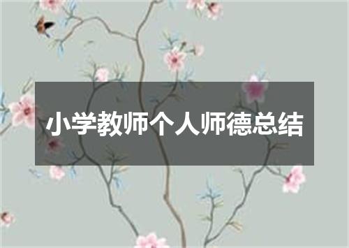 小学教师个人师德总结