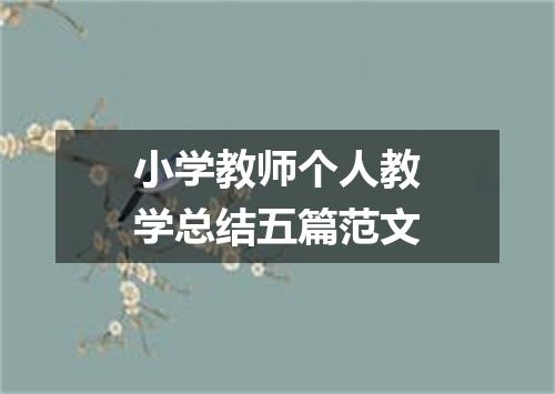 小学教师个人教学总结五篇范文