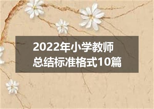 2022年小学教师总结标准格式10篇