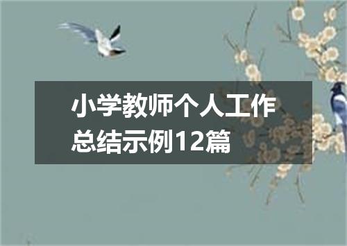 小学教师个人工作总结示例12篇