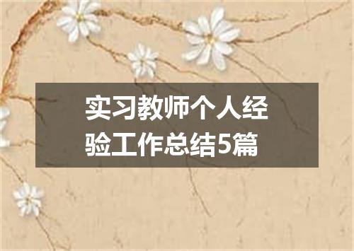 实习教师个人经验工作总结5篇