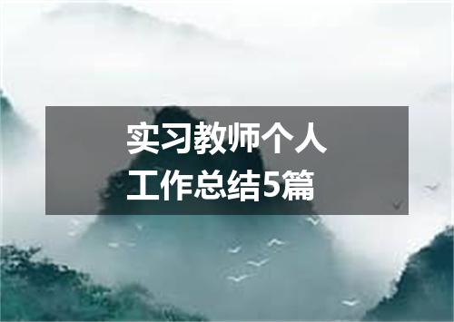 实习教师个人工作总结5篇