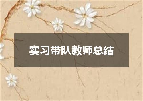 实习带队教师总结