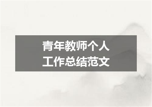 青年教师个人工作总结范文