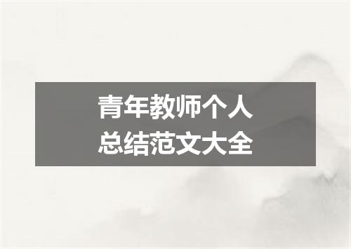 青年教师个人总结范文大全